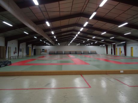 Pratique sportive de : 1