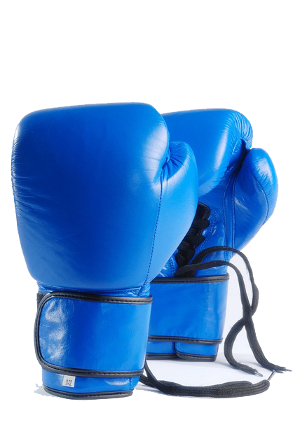 Cours de boxe enfant à Rennes chez Défenses Tactiques