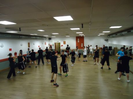 Pratique sportive de : 9