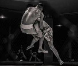 Pratique sportive de : MMA