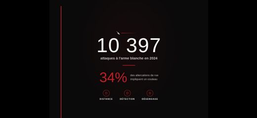 10397 attaque au couteau en france en 2024